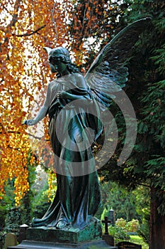 Cemetery statue angel