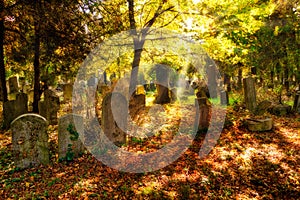 Cemetery With Sunray In Autumn