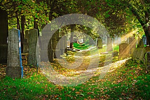 Cemetery With Sunray In Autumn