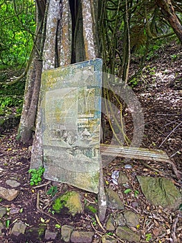 The cemetery of Trunyan village of Bali, Indonesia