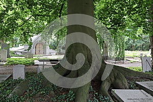 Cemetery of Utrecht, Netherlands with grave monuments