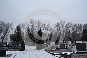 Cemetery in wintertime.