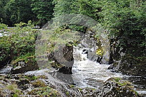 Cenarth falls   Pembrokeshire  wales  water fall