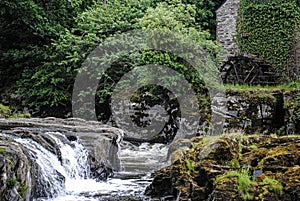 Cenarth falls   Pembrokeshire  wales  water fall