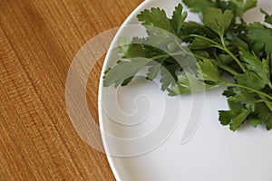 Cenital Shot of a white plate with parsley photo