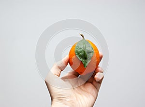 A cenital view of an orange meyer lemon in the hand of a caucasian men with a white background