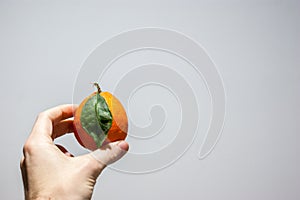 A cenital view of an orange meyer lemon in the hand of a caucasian men with a white background