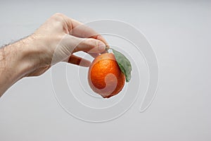 A cenital view of an orange meyer lemon in the hand of a caucasian men with a white background