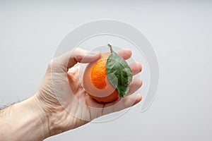 A cenital view of an orange meyer lemon in the hand of a caucasian men with a white background