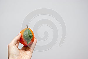 A cenital view of an orange meyer lemon in the hand of a caucasian men with a white background