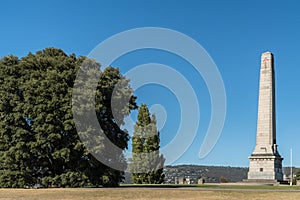 Cenotaph war memorial and trees in Hobart, Australia.