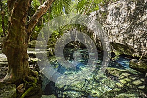 Cenote Azul in Mexico photo
