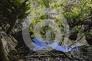 Cenote Azul in Mexico photo