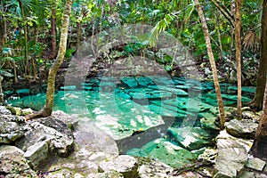 Cenote Azul small lake in Yucatan, Mexico.