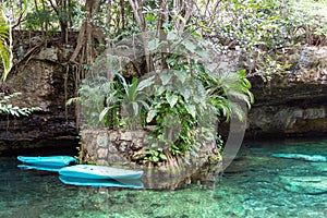 Cenote, a cavern with fresh water in a tropical jungle