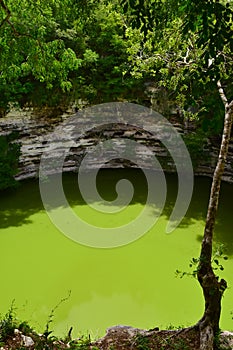 A cenote at Chichen Itza, a large pre-Columbian city built by the Maya people in Mexico