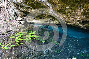 Cenote Dos Ojos near Tulum Mexico