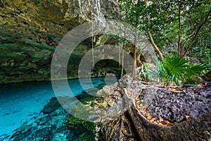 Cenote Dos Ojos in Quintana Roo, Mexico. People swimming and snorkeling in clear blue water. This cenote is located close to photo