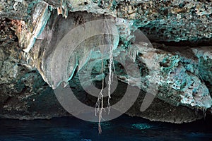 Cenote Dos Ojos in Yucatan peninsula, Mexico. photo