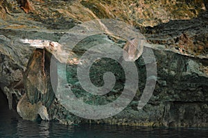 Cenote Dos Ojos in Yucatan peninsula, Mexico. photo