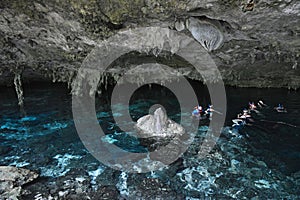 Cenote Dos Ojos in Yucatan peninsula, Mexico. photo