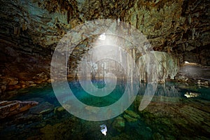 Cenote Dzitnup Xkeken, cave south of Valladolid. Landscape