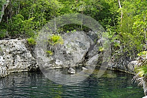 Cenote los peces in cuba photo