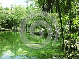 Cenote Riviera Maya jungle mayan Quintana Roo photo