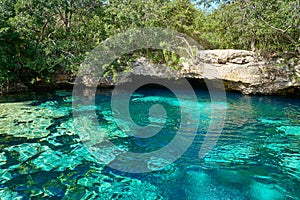 Cenote in Riviera Maya of Mayan Mexico photo