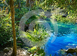 Cenote in Riviera Maya of Mayan Mexico photo