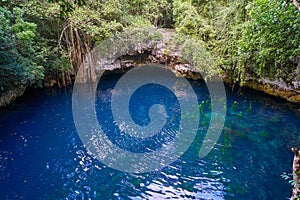 Cenote sinkhole in rainforest mayan jungle