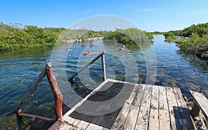 Cenote and Yal-Ku Lagoon in Riviera Maya