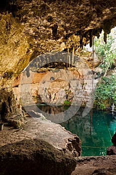 Cenote Zaci Mexico Valladolid Yucatan