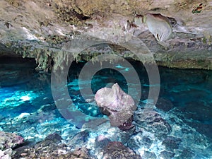 The cenotes of Mexico are a magnificent natural creation
