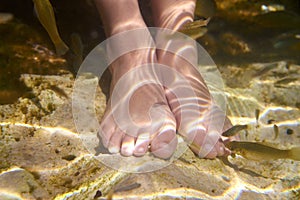 Cenotes Mexico fishes suck feet dead skin photo