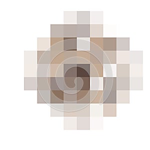 Censored pixel round bar. Nudity skin or sensitive text adult content cover. Censored picture vector illustration.