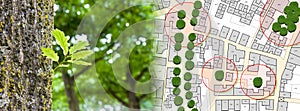 Census of singol, group or row trees in cities - green management and tree mapping concept with imaginary city map