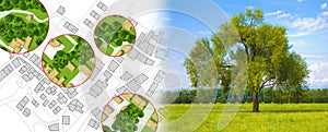 Census of trees in cities -  green management and tree mapping concept with imaginary city map with highlighted trees