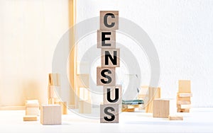 CENSUS word on wood blocks concept