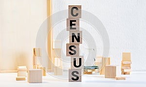 Census word on wooden cubes