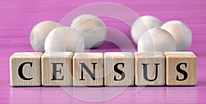 CENSUS - word on wooden cubes on pink background with wooden round balls