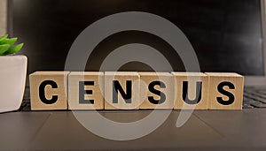 CENSUS - word on wooden cubes on pink background with wooden round balls.