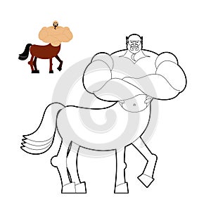 Centaur coloring book. Line style of mythical creature. Half horse half person. Fairy-tale characters athlete. Man hoss