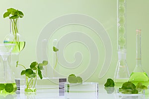 Centella asiatica Background