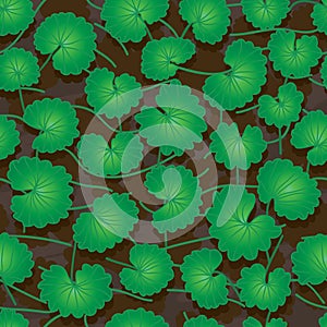 Centella Asiatica seamless pattern