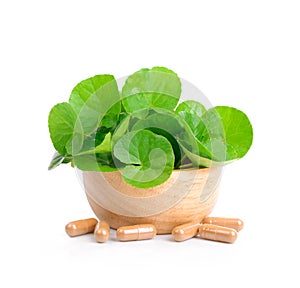 Centella ASiatica in wood bowl ,white background.