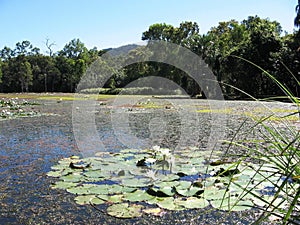 Centenary Lakes Cairns