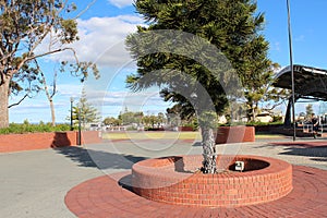 Centennial Park Bunbury Western Australia photo