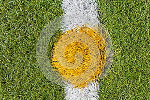 Center of artificial grass soccer pitch