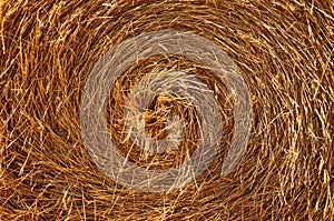 Center bale straw